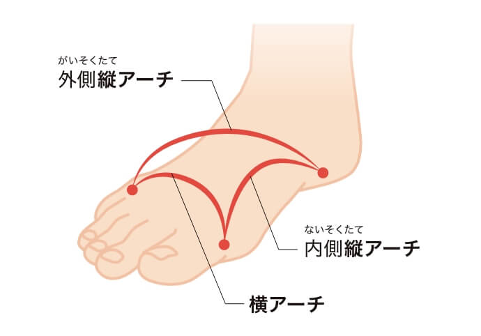 足の機能を支える3つのアーチの説明図